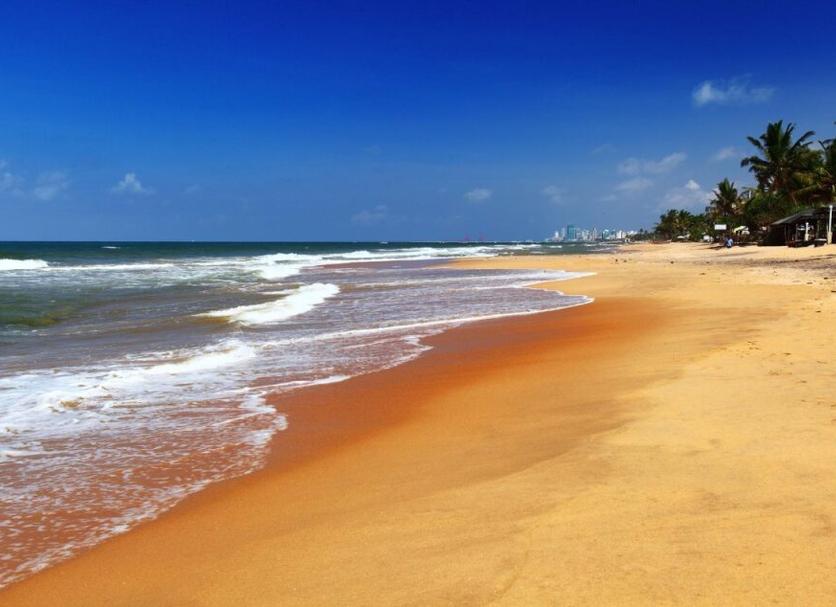 Plaża Zdjęcie