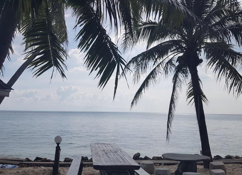 Plaża Zdjęcie