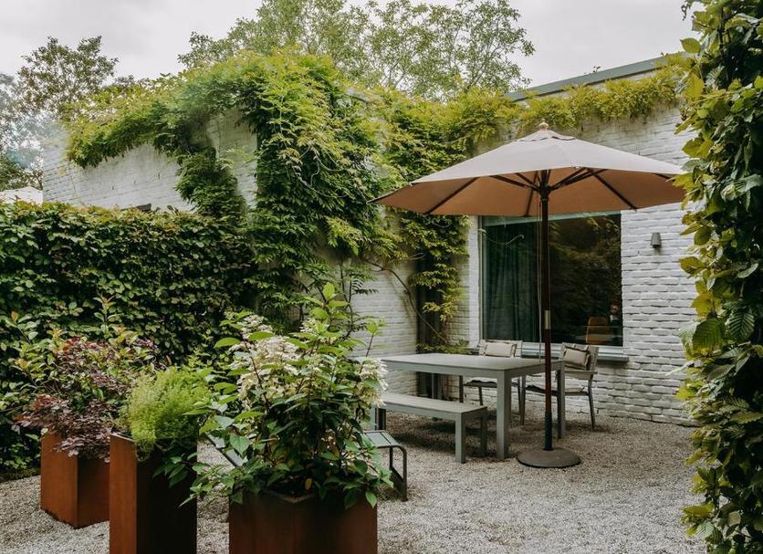 Patio Zdjęcie