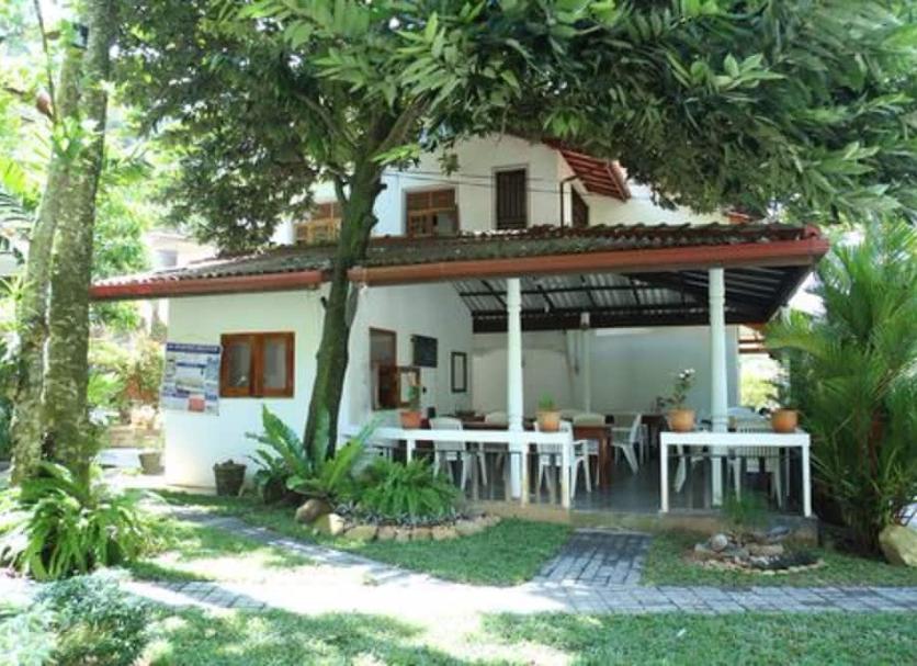 Patio Zdjęcie
