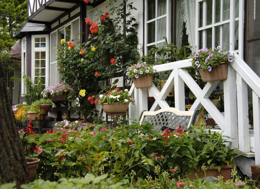Patio Zdjęcie