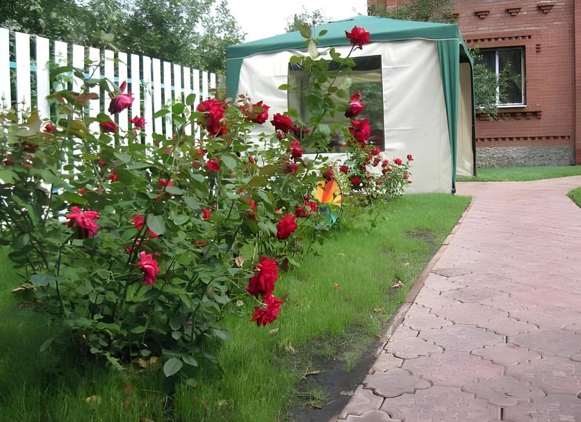 Widok na zewnątrz Zdjęcie