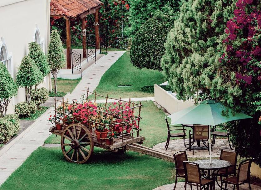 Patio Zdjęcie
