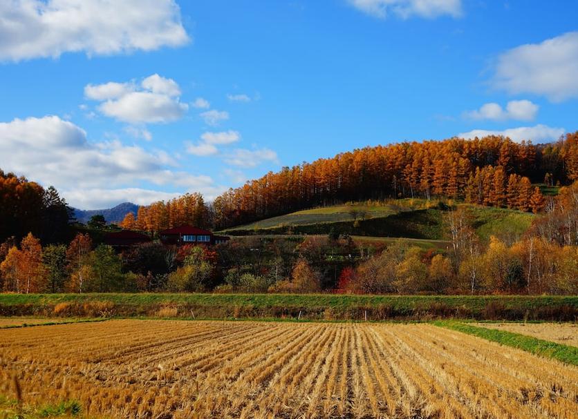 Widok na zewnątrz Zdjęcie