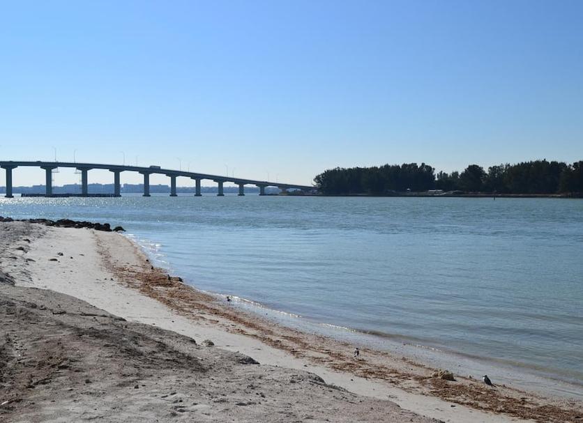 Plaża Zdjęcie