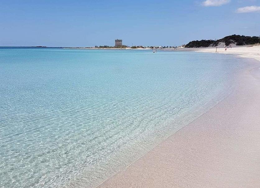 Plaża Zdjęcie