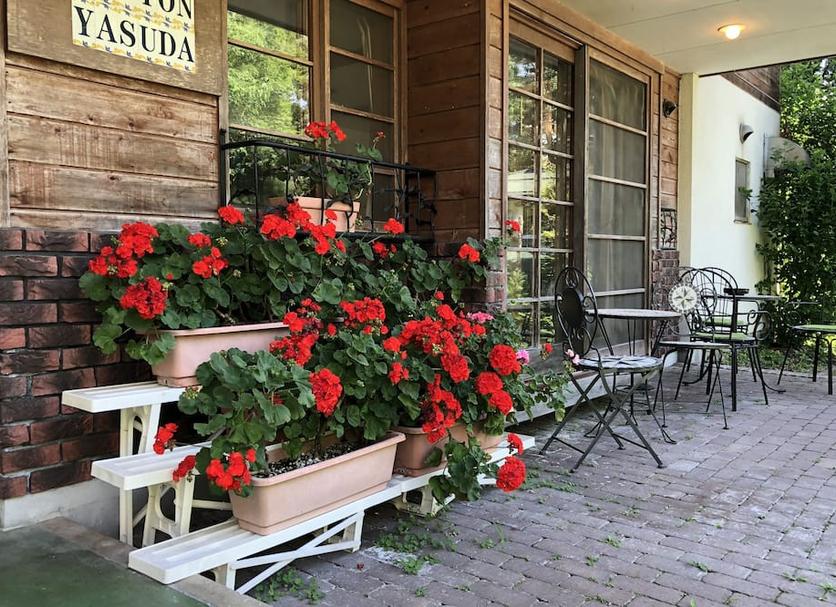 Patio Zdjęcie