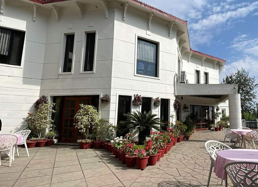 Patio Zdjęcie