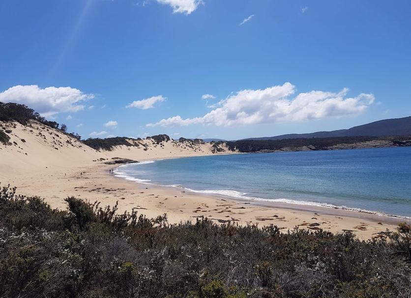 Plaża Zdjęcie