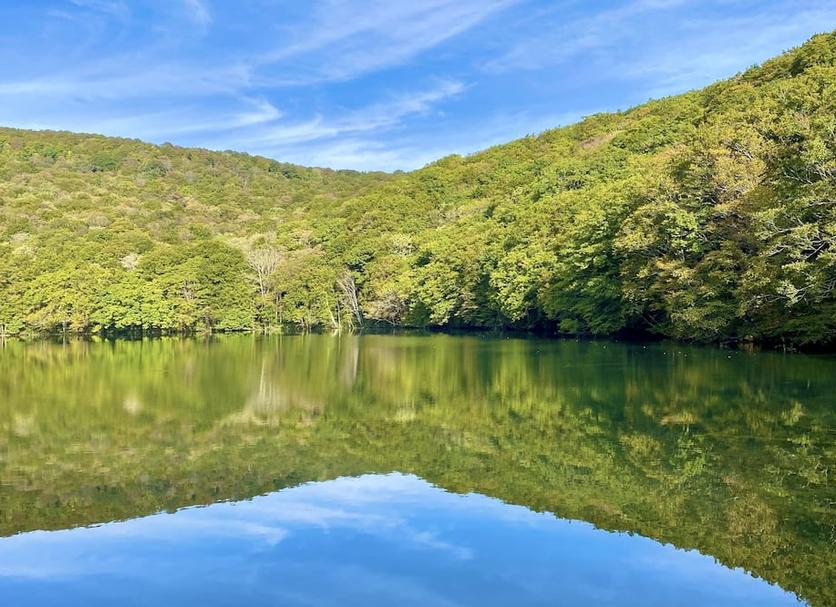 Widok na zewnątrz Zdjęcie
