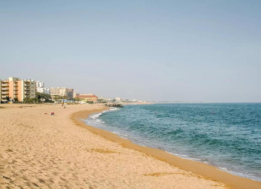 Plaża Zdjęcie