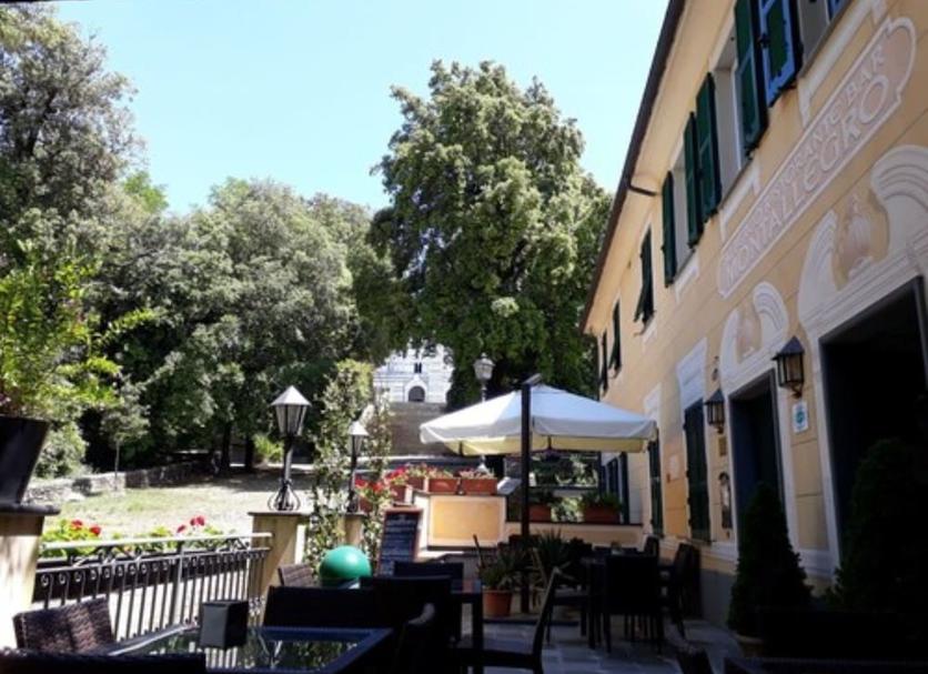Patio Zdjęcie