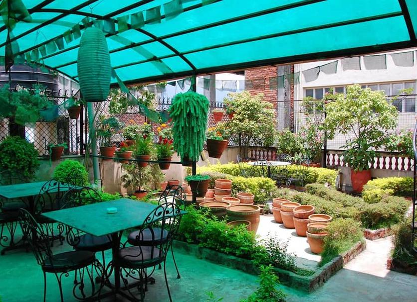 Patio Zdjęcie