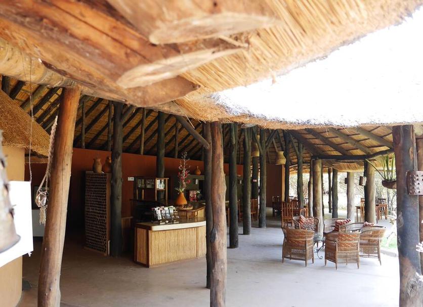 Patio Zdjęcie