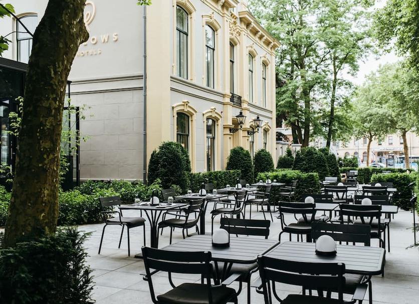 Patio Zdjęcie