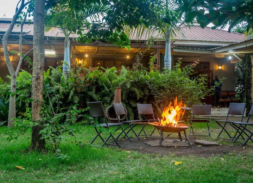 Patio Zdjęcie