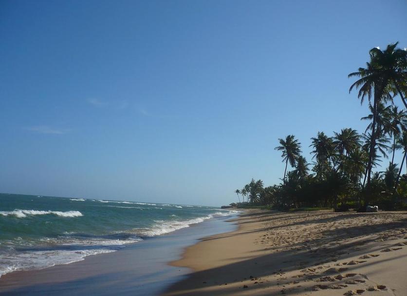 Plaża Zdjęcie