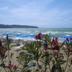 Plaża