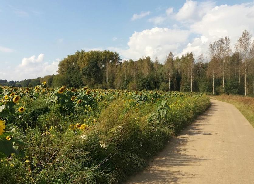 Widok na zewnątrz Zdjęcie