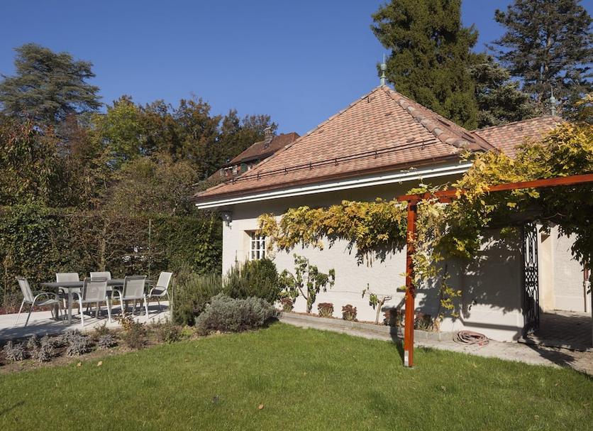 Patio Zdjęcie