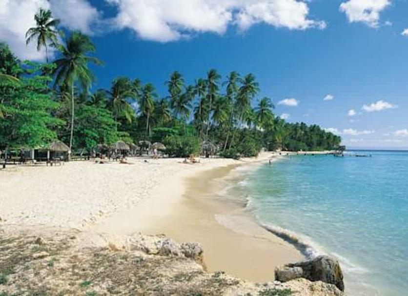 Plaża Zdjęcie