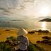 Inne