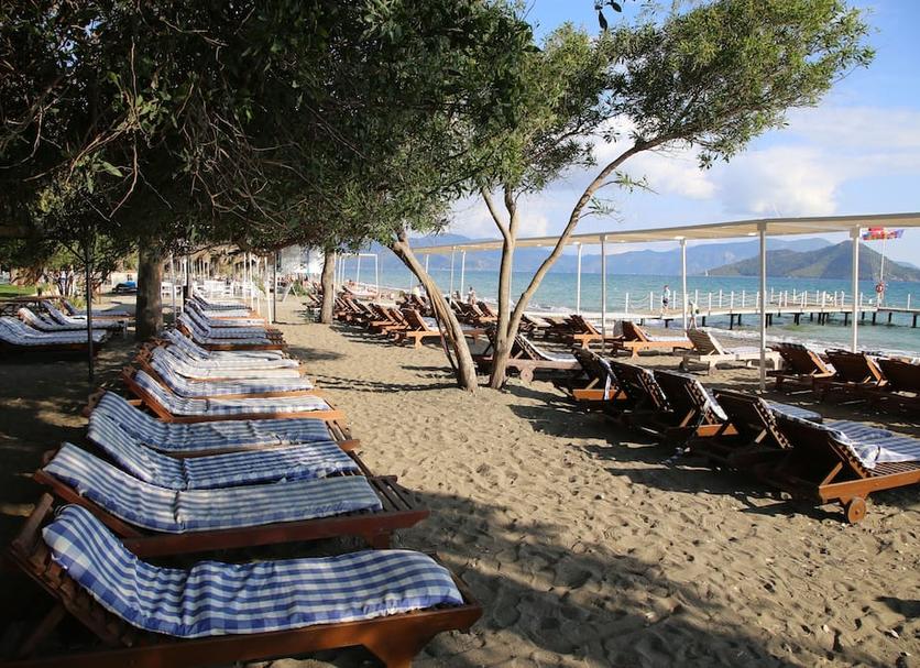Plaża Zdjęcie