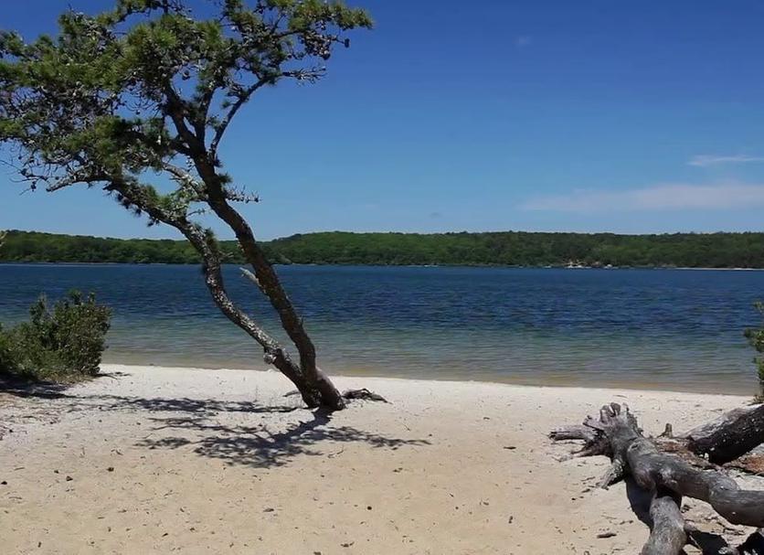 Plaża Zdjęcie