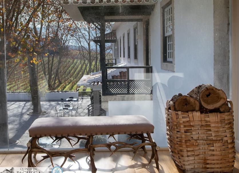 Patio Zdjęcie