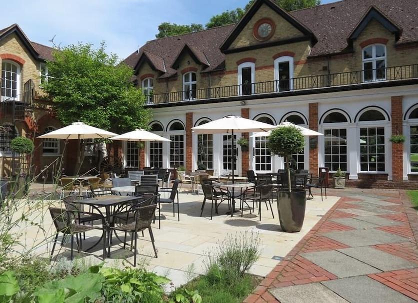 Patio Zdjęcie