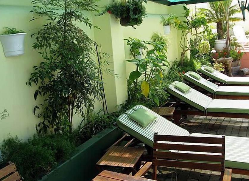 Patio Zdjęcie