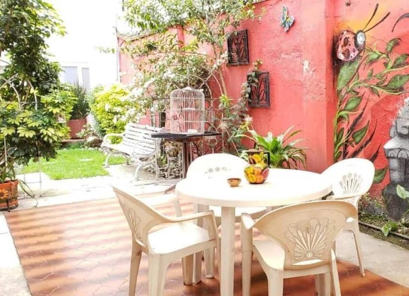 Patio Zdjęcie