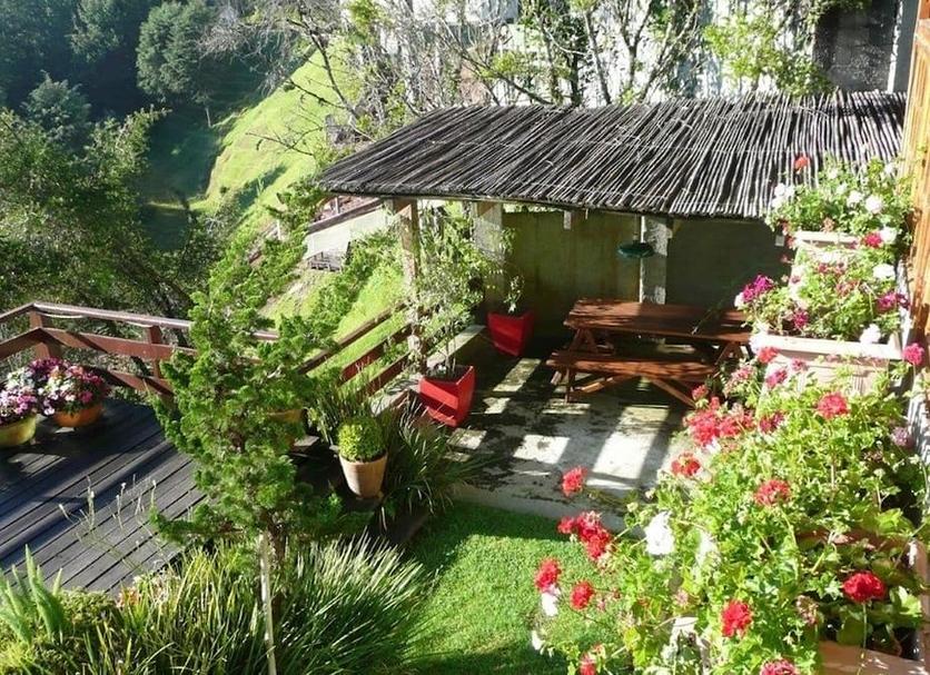 Patio Zdjęcie