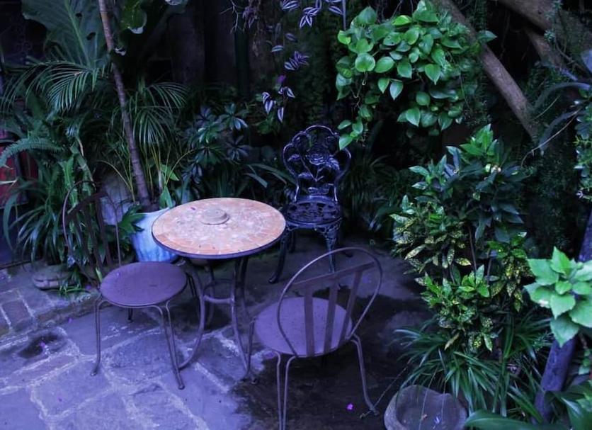Patio Zdjęcie