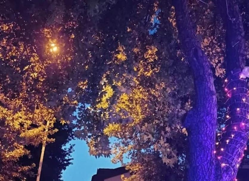 Widok na zewnątrz Zdjęcie