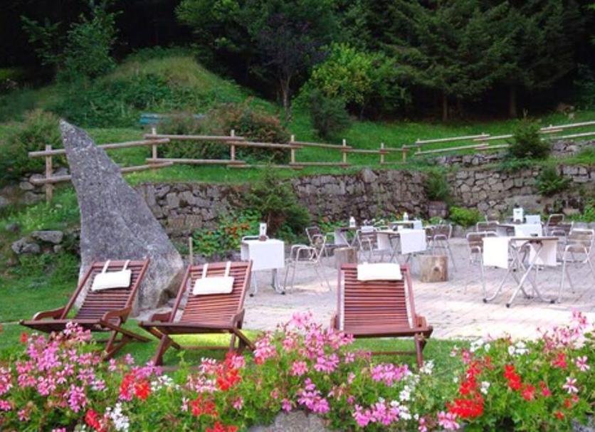 Patio Zdjęcie