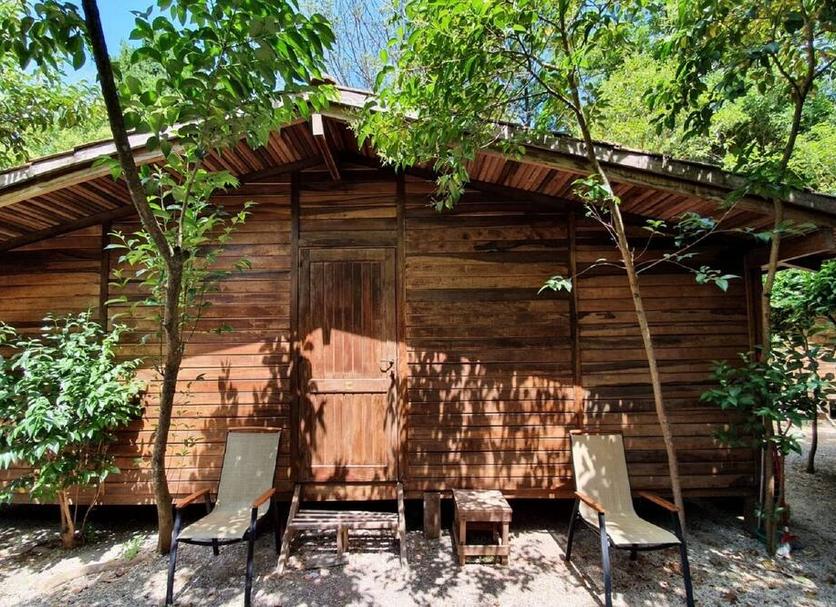 Patio Zdjęcie