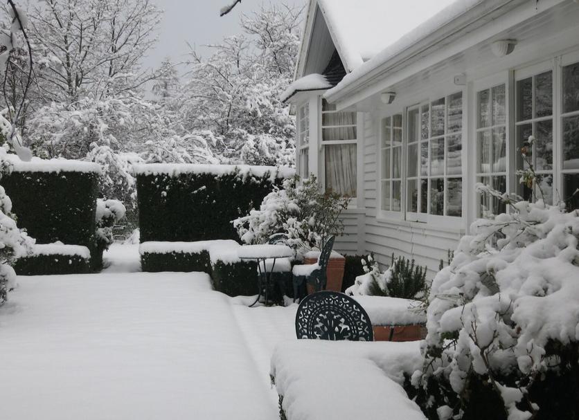 Patio Zdjęcie