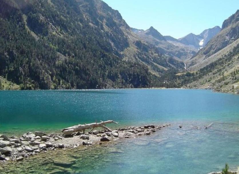 Plaża Zdjęcie