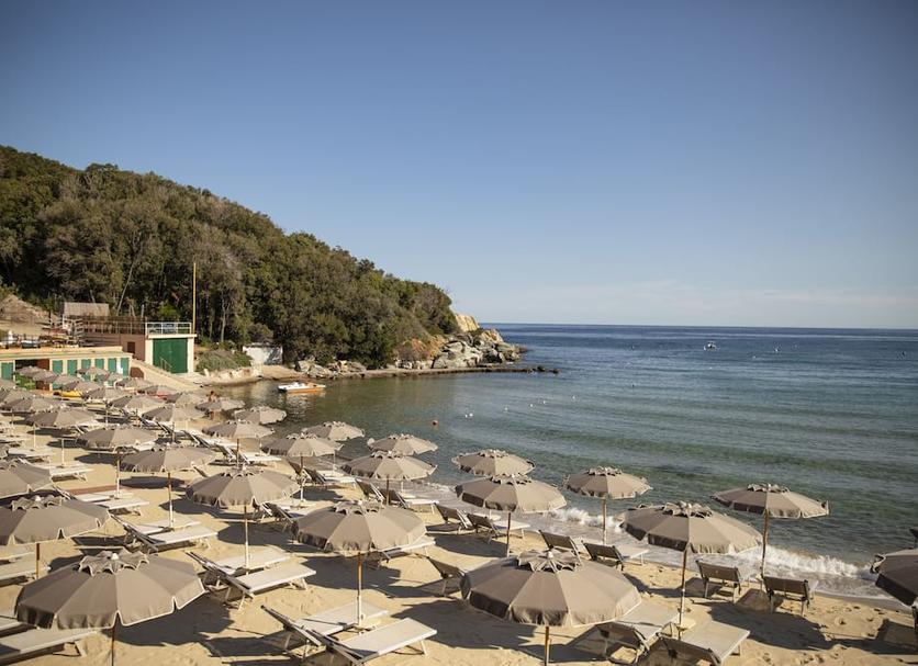 Plaża Zdjęcie