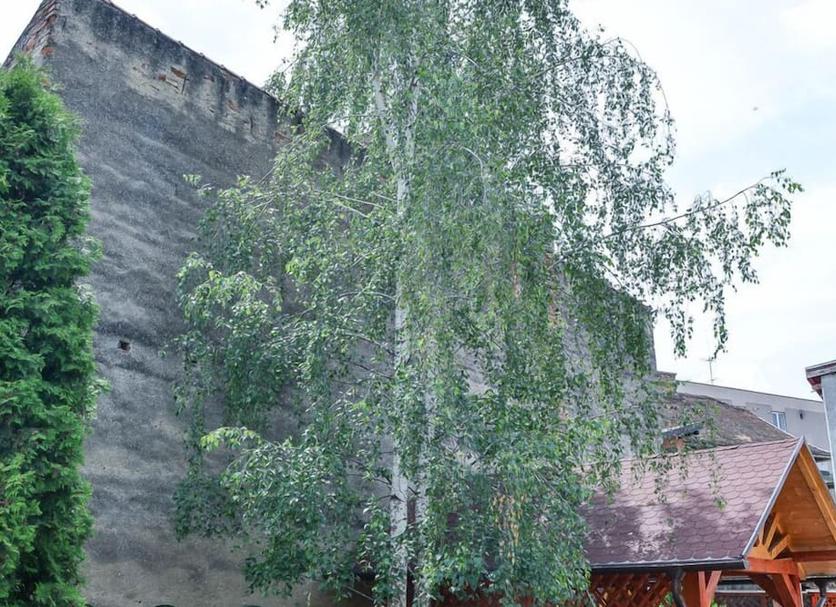 Widok na zewnątrz Zdjęcie