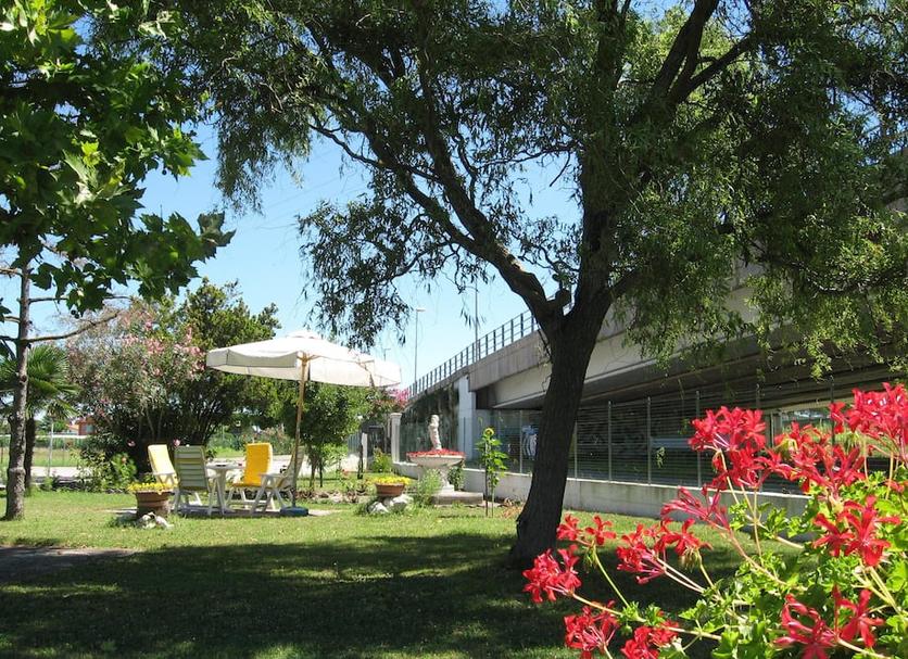 Patio Zdjęcie