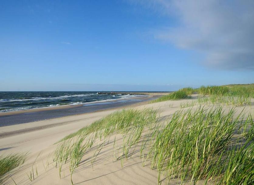 Plaża Zdjęcie