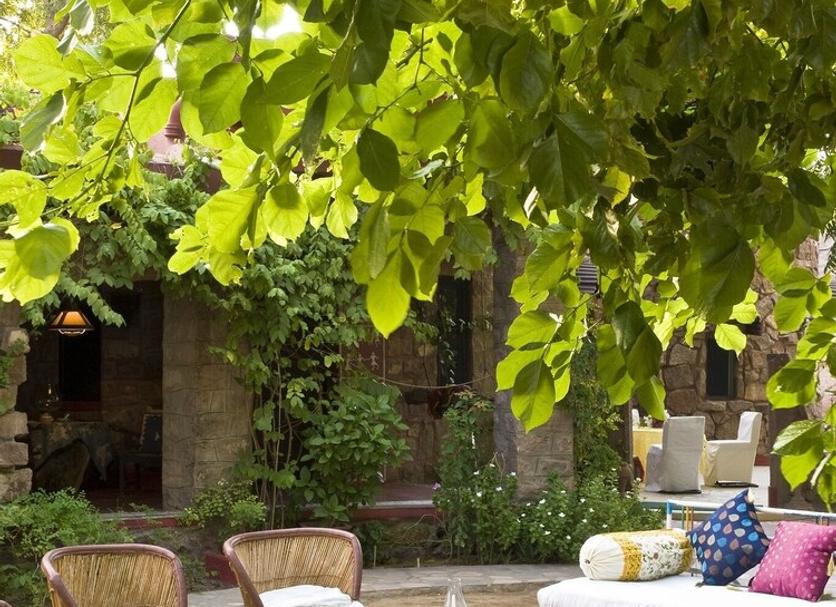 Patio Zdjęcie