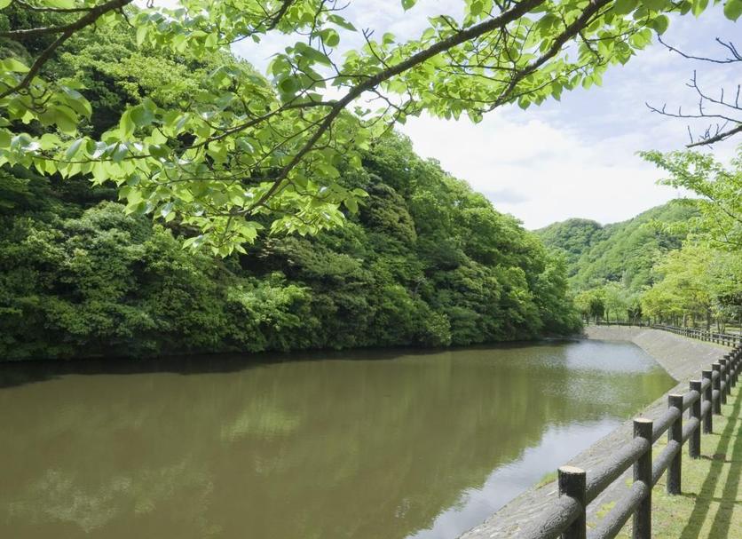 Widok na zewnątrz Zdjęcie