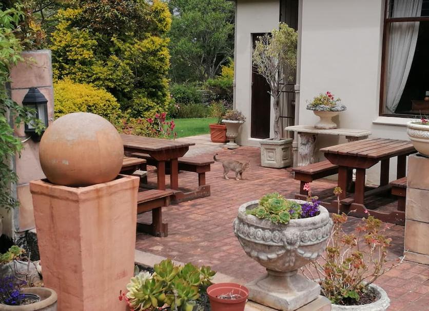 Patio Zdjęcie