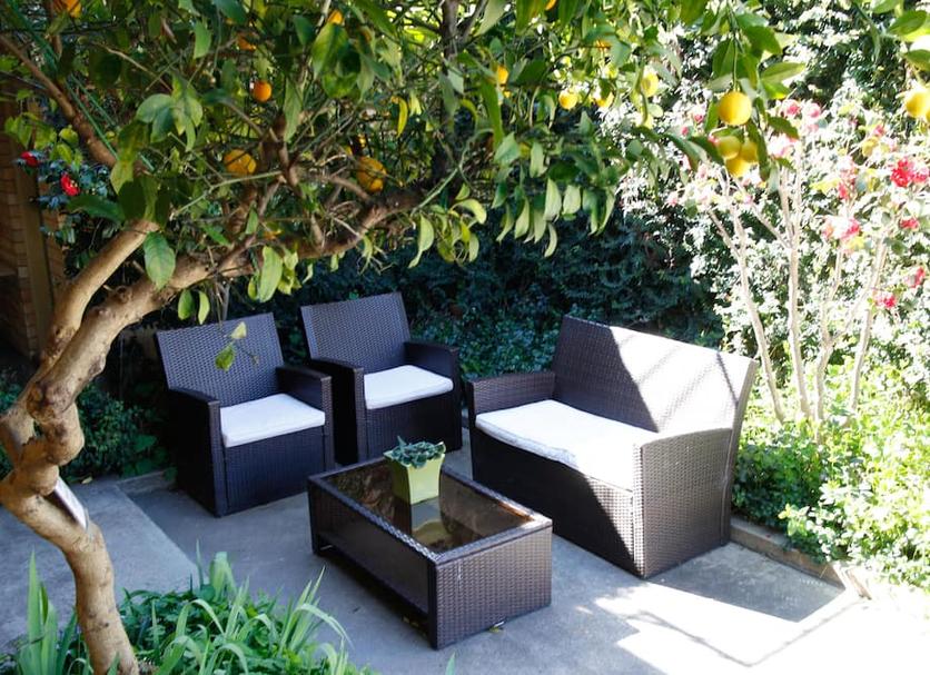 Patio Zdjęcie