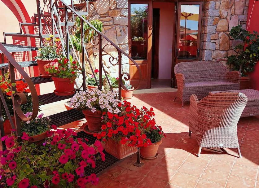 Patio Zdjęcie