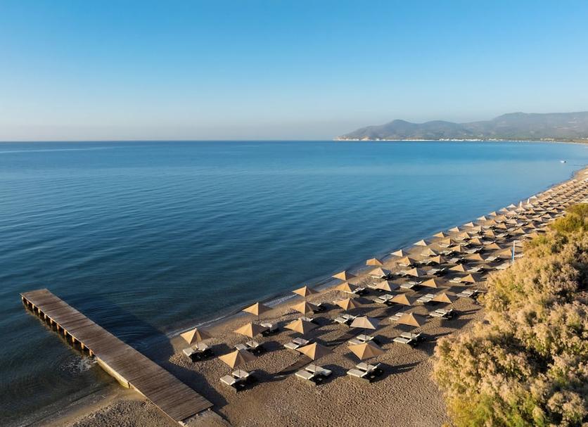 Plaża Zdjęcie