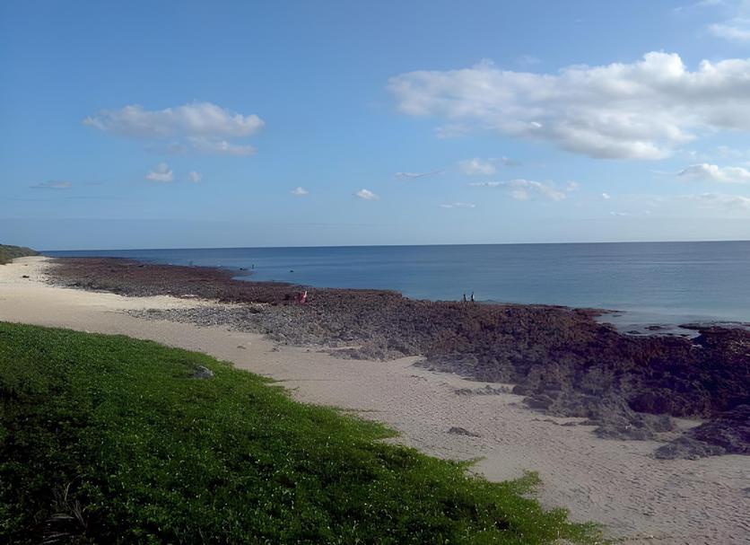 Plaża Zdjęcie